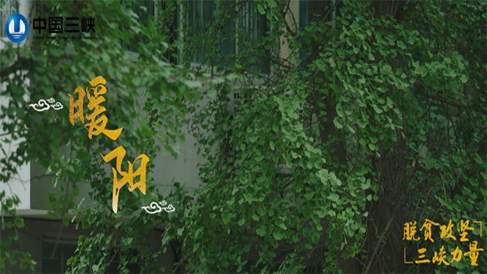 暖陽